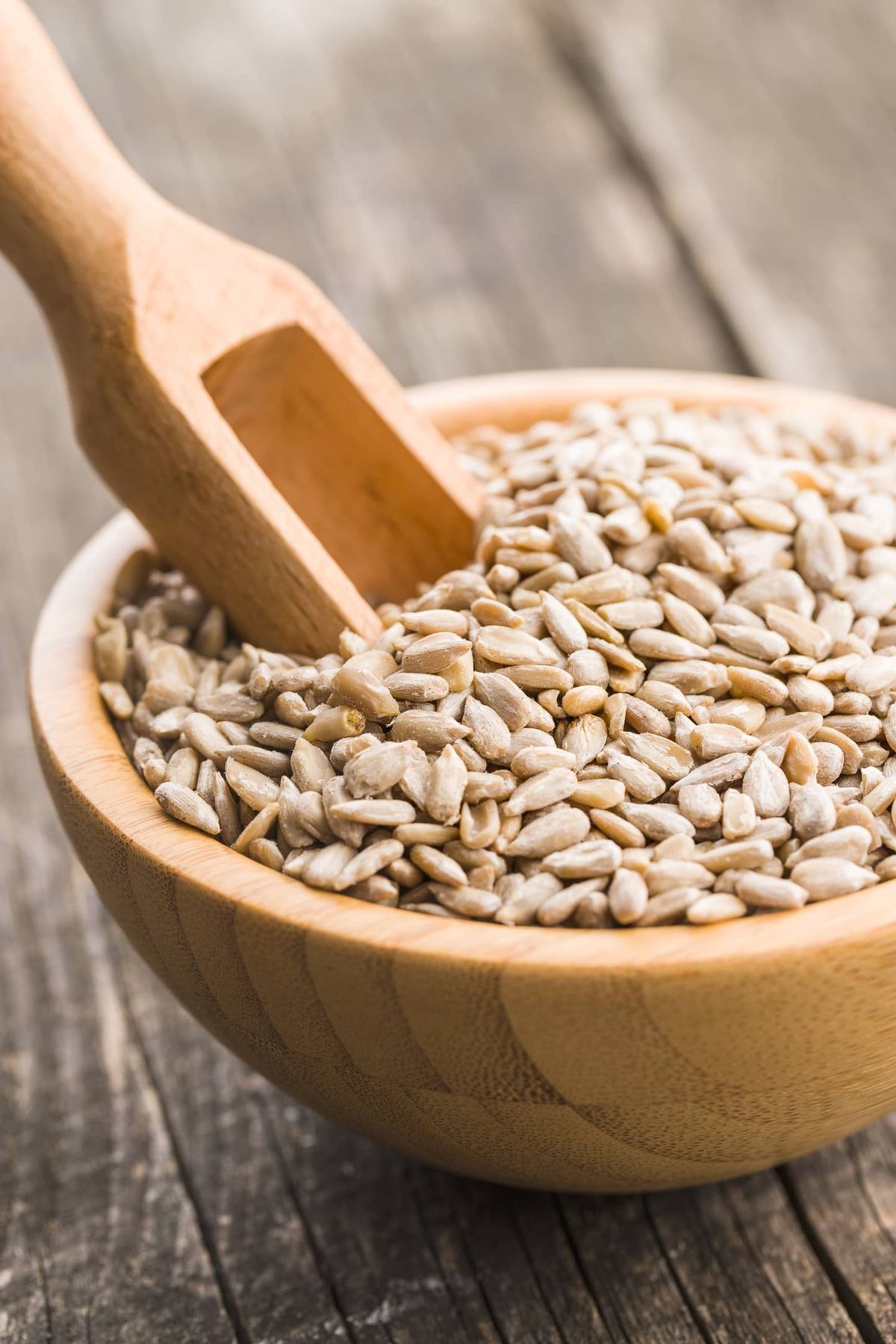 Sunflower Seeds in Hyderabad